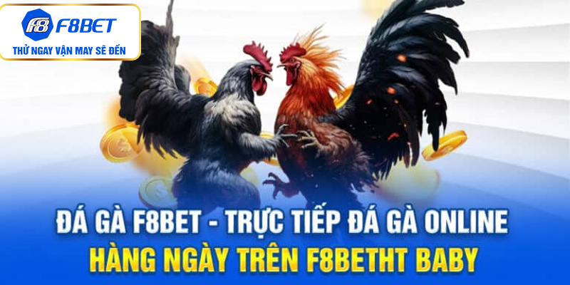 Tính năng và ưu điểm vượt trội chỉ có tại nền tảng đá gà F8bet